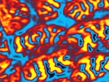 Picture shows magnetic domains in uranium with a blue and orange organic shapes, similar to lava flowing through water, but in graphic form