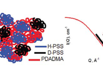 neutron scattering with contrast variation reveals the coil conformation of single polymer molecules in a blend of PSS and PDADMA.
