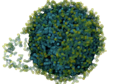 Procter & Gamble scientists used ORNL’s Summit supercomputer to create a digital model of the corneal epithelium, the primary outer layer of cells covering the human eye, and test that model against a series of cleaning compounds in search of a gentler, more environmentally sustainable formula.