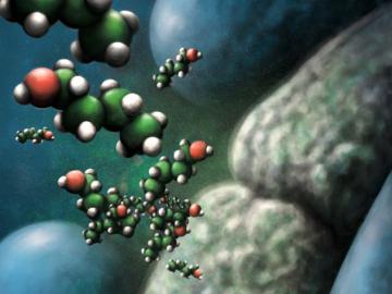 A deep look inside a cell membrane showing the production of materials from plant biomass, shown with shapes that consist of four green balls connected with a red ball on one end, dotted with smaller white balls on each surface. 