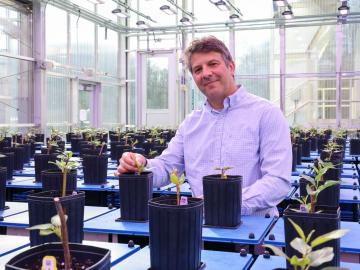 Researcher is sitting in bio lab surrounded with plants