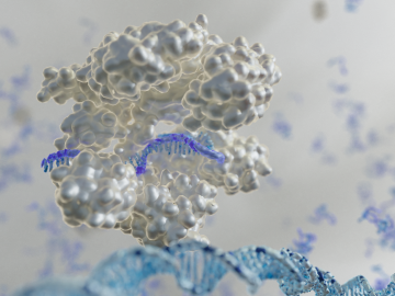 A 3D rendering of a large, white protein complex bound to a purple strand of guide RNA, which is aligned with a blue double-helix DNA strand. The background is a soft gray with scattered, blurred molecular shapes.