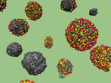 A molecular dynamics simulation depicts solid (black) and hollow (multicolored) carbon spheres derived from the waste sugar streams of biorefineries. The properties of the hollow spheres are ideal for developing energy storage devices called supercapacito A molecular dynamics simulation depicts solid (black) and hollow (multicolored) carbon spheres derived from the waste sugar streams of biorefineries. The properties of the hollow spheres are ideal for developing energy storage devices called supercapacito