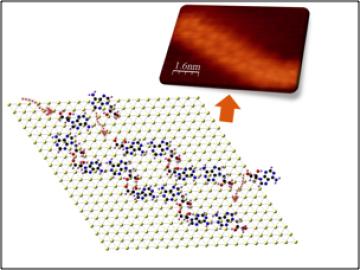 Extending Supramolecular Polymerization to New Lengths Extending Supramolecular Polymerization to New Lengths