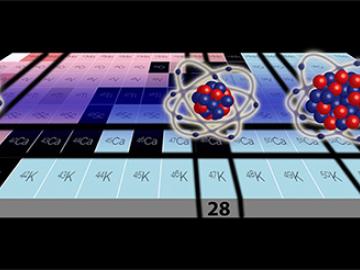 The image above shows the chain of the studied calcium isotopes. The “doubly magic” isotopes with mass numbers 40 (Ca-40) and 48 (Ca-48) exhibit equal charge radii. The first measurement of the charge radius in Ca-52 yielded an unexpectedly large result. 