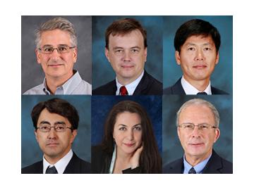 Six APS Fellows composite photo