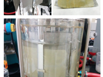 Novel bioreactor design