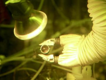 By producing 50 grams of plutonium-238, Oak Ridge National Laboratory researchers have demonstrated the nation’s ability to provide a valuable energy source for deep space missions. By producing 50 grams of plutonium-238, Oak Ridge National Laboratory researchers have demonstrated the nation’s ability to provide a valuable energy source for deep space missions.