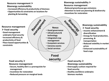Reconciling food security and bioenergy: priorities for action