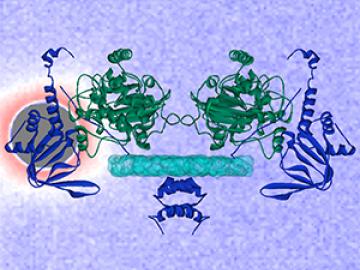 ORNL Image