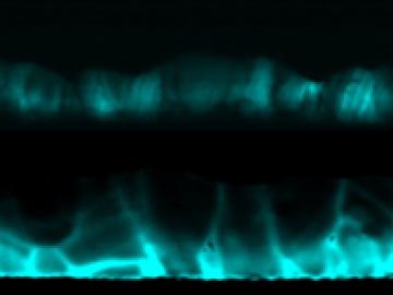 ORNL Image