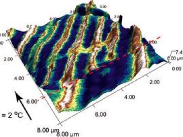 ORNL Image