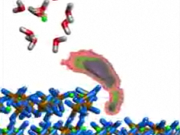 ORNL Image