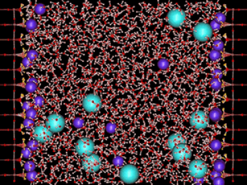 ORNL Image