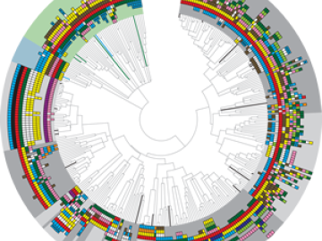 ORNL Image
