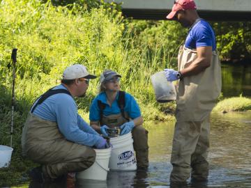 By wet-sieving stream sediment, (from left) Oak Ridge National Laboratory’s Kenneth Lowe, Melanie Mayes and John Dickson sort sediment into different particle size in this stream near Rocky Top. By wet-sieving stream sediment, (from left) Oak Ridge National Laboratory’s Kenneth Lowe, Melanie Mayes and John Dickson sort sediment into different particle size in this stream near Rocky Top.