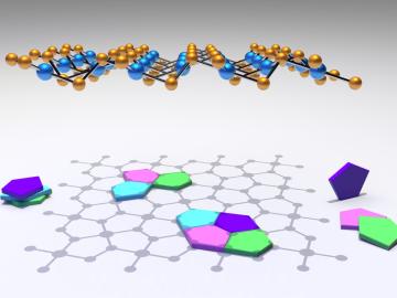 A novel, two-dimensional material “puckers” because its structure is composed of atoms that tile in the famous Cairo pentagonal pattern, opening exciting new opportunities for nanoelectronics. Credit: Christopher Rouleau and Kai Xiao/Oak Ridge National La