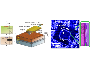 Microwave imaging (left) reveals conducting ferroelectric domain walls (right) in lead zirconate titanate. Before microwave microscopy, it was difficult to detect electrically conducting ferroelectric domains. Microwave imaging (left) reveals conducting ferroelectric domain walls (right) in lead zirconate titanate. Before microwave microscopy, it was difficult to detect electrically conducting ferroelectric domains.