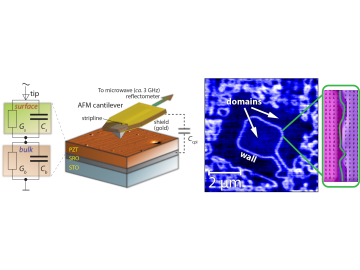 Microwave imaging (left) reveals conducting ferroelectric domain walls (right) in lead zirconate titanate. Before microwave microscopy, it was difficult to detect electrically conducting ferroelectric domains. 