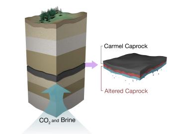 The Carmel caprock, which overlies an aquifer naturally charged with carbon dioxide, was analyzed with neutron scattering, revealing alteration only in the basal 7 cm and progression of caprock corrosion an order of magnitude slower than expected.
