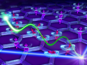 As neutrons (blue line) scatter off the graphene-like honeycomb material, they produce a magnetic Majorana fermion (green wave) that moves through the material disrupting or breaking apart magnetic interactions between “spinning” electrons. As neutrons (blue line) scatter off the graphene-like honeycomb material, they produce a magnetic Majorana fermion (green wave) that moves through the material disrupting or breaking apart magnetic interactions between “spinning” electrons.
