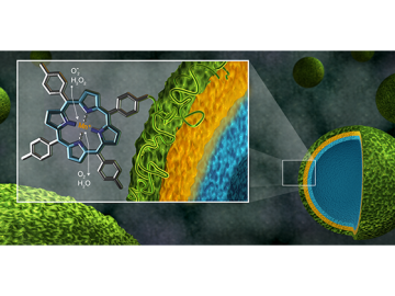 Shown as green spheres, microcapsules containing the polymer manganoporphyrin, a newly developed antioxidant (green), the natural antioxidant tannic acid (yellow), and a binding material (blue), can be analyzed for stability and efficiency with neutrons. Shown as green spheres, microcapsules containing the polymer manganoporphyrin, a newly developed antioxidant (green), the natural antioxidant tannic acid (yellow), and a binding material (blue), can be analyzed for stability and efficiency with neutrons.