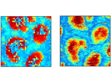 ORNL scientists developed a new microscopy technique that provides high-resolution images of nanomaterial behavior thousands of times faster than current techniques.