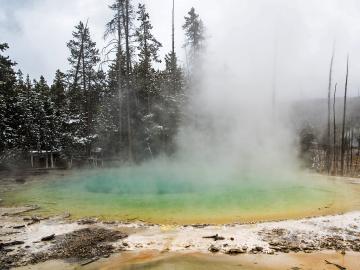 Cistern Spring in Yellowstone National Park is home to the elusive archaeon Nanopusillus acidilobi. Cistern Spring in Yellowstone National Park is home to the elusive archaeon Nanopusillus acidilobi.