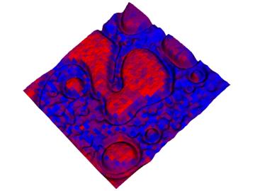 A hybrid 3-D optical microscope – mass spectrometry map showing optical brightness (height) and chemical distribution of poly(2vinylpyridine) (red) and poly(N-vinylcarbazole) (blue) signals of a 20 micron-by-20 micron area of a polymer blend. (ORNL/DOE)