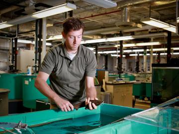 Researcher Ryan McManamay holds a lake sturgeon in ORNL's Aquatic Ecology Laboratory.