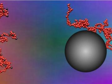 Depicted at left, small nanoparticles stick to segments of polymer chain that are about the same size as the nanoparticles themselves; these interactions produce a polymer nanocomposite that is easier to process because nanoparticles move fast, quickly ma