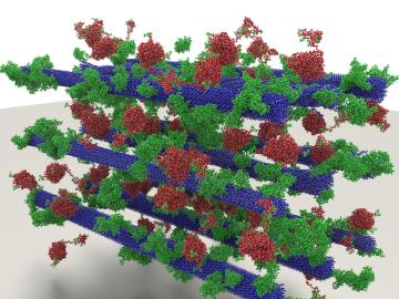 Researchers used experimental data to create a 23.7-million atom biomass model featuring cellulose (purple), lignin (brown), and enzymes (green). (Image credit: Mike Matheson, ORNL)