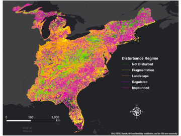 A stream classification system developed by ORNL researchers shows the influence of human activity on streams in the Eastern U.S. The map shows streams classified by their alteration status, highlighting the extent of networks that are impounded (magenta)