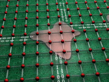An ORNL study found that complex oxide materials can self-organize into electrical circuits, which creates the possibility for new types of computer chips.