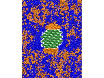 An illustration that demonstrates how THF (orange) and water (blue) phase separate on the surface of cellulose (green), thus facilitating its breakdown. Image credit: Barmak Mostofian