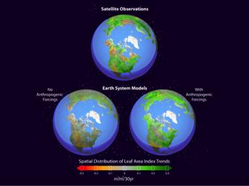 Earth system models simulate Northern Hemisphere greening. Earth system models simulate Northern Hemisphere greening.