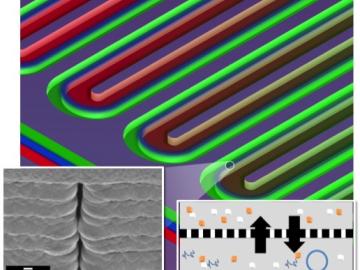 This section of a serpentine channel reactor shows the parallel reactor and feeder channels separated by a nanoporous membrane. At left is a single nanopore viewed from the side; at right is a diagram of metabolite exchange across the membrane.