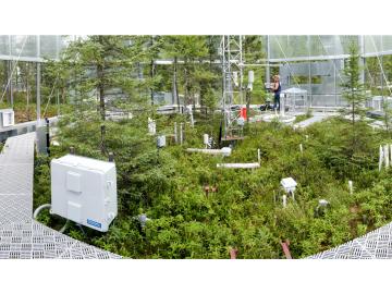 By controlling the temperature and the amount of carbon dioxide in the test chambers, scientists hope to learn how microbial communities, moss populations, various higher plant types and some insect groups respond.