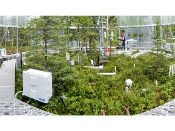 By controlling the temperature and the amount of carbon dioxide in the test chambers, scientists hope to learn how microbial communities, moss populations, various higher plant types and some insect groups respond. By controlling the temperature and the amount of carbon dioxide in the test chambers, scientists hope to learn how microbial communities, moss populations, various higher plant types and some insect groups respond.