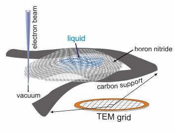 Schematic drawing of the boron nitride cell. Credit: University of Illinois at Chicago. Schematic drawing of the boron nitride cell. Credit: University of Illinois at Chicago.