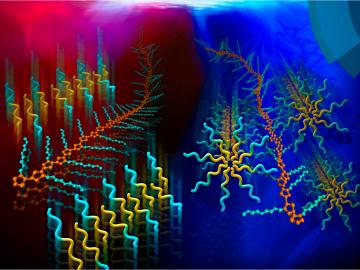 A surfactant template guides the self-assembly of functional polymer structures in an aqueous solution. Image credit: Oak Ridge National Laboratory, U.S. Dept. of Energy; image by Youngkyu Han and Renee Manning.