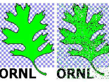 The team transmitted the ORNL logo, an oak leaf, between two end points in the laboratory with 87 percent calculated fidelity. (Left): The original 4-color, 3.4kB image. (Right): The image received using superdense coding.