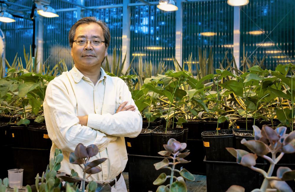 Lianhong Gu is an environmental scientist in the Ecosystem Science Group at ORNL.