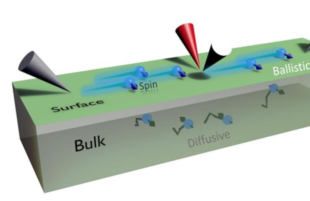 A schematic of spin-polarized four-probe scanning tunneling microscopy to measure spin-dependent electrical conductance on the topological insulator Bi2Te2Se. By reducing the probe spacing at low temperature, most electrons are “channeled” to the topological surface states, showing a quasi-ballistic spin-polarized conductance.