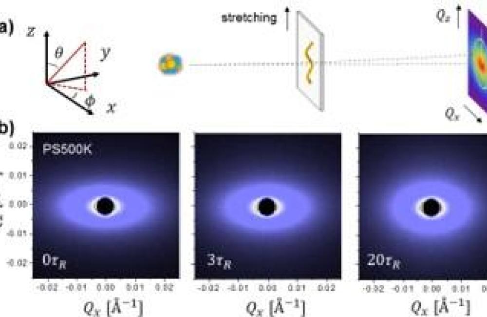 The upper panel illustrates the configuration of the SANS experiment. The bottom panel shows the 2D SANS spectra become progressively isotropic as the polymer relaxes the stress.