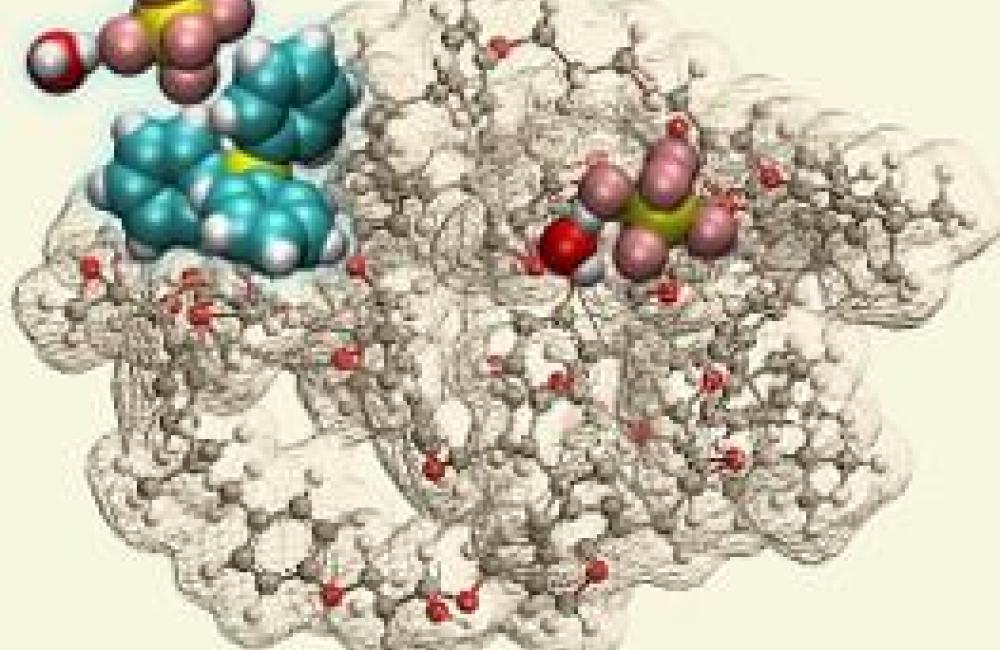 Structures of a polymer dimer with photo-activatable triarylsulfonium hexafluoroantimonate and fluroantimonic acid.
