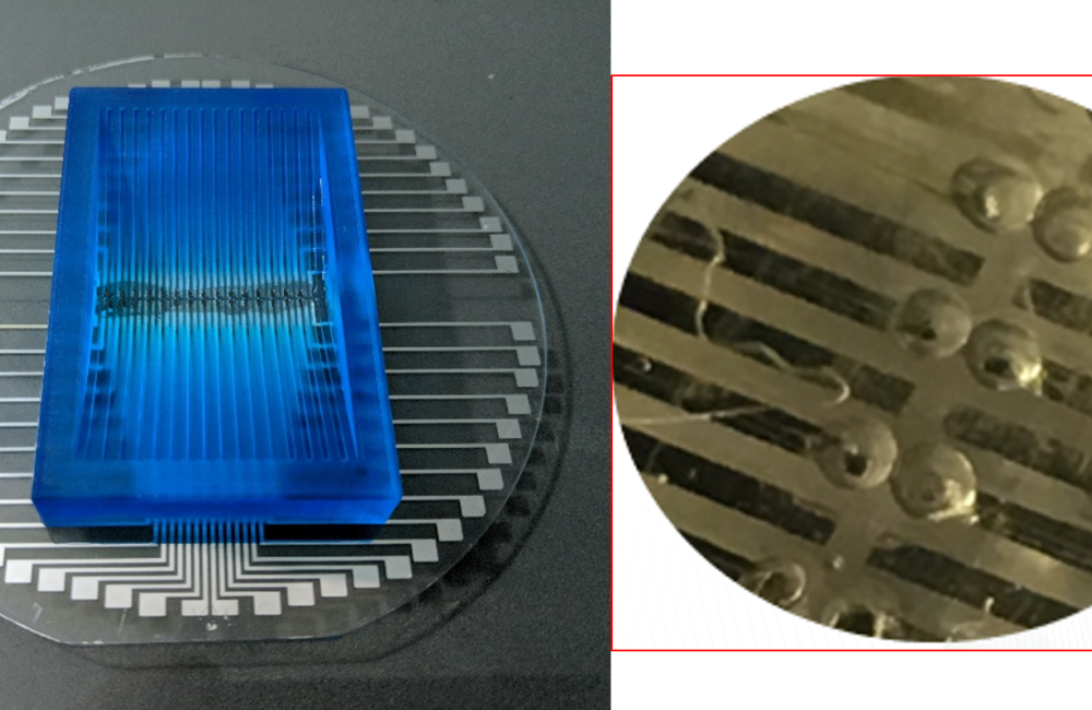 3D-printed neuromorphic circuit