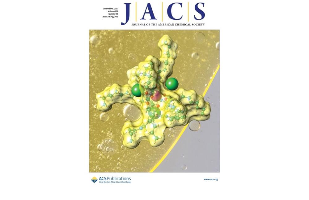 The clusters are assembled through steric and electrostatic forces, with the chloride anions (green spheres) residing in equidistant ‘clefts’ between coordinating diglycolamide ligands in positions that satisfy both repulsive and attractive ion-ion interactions.