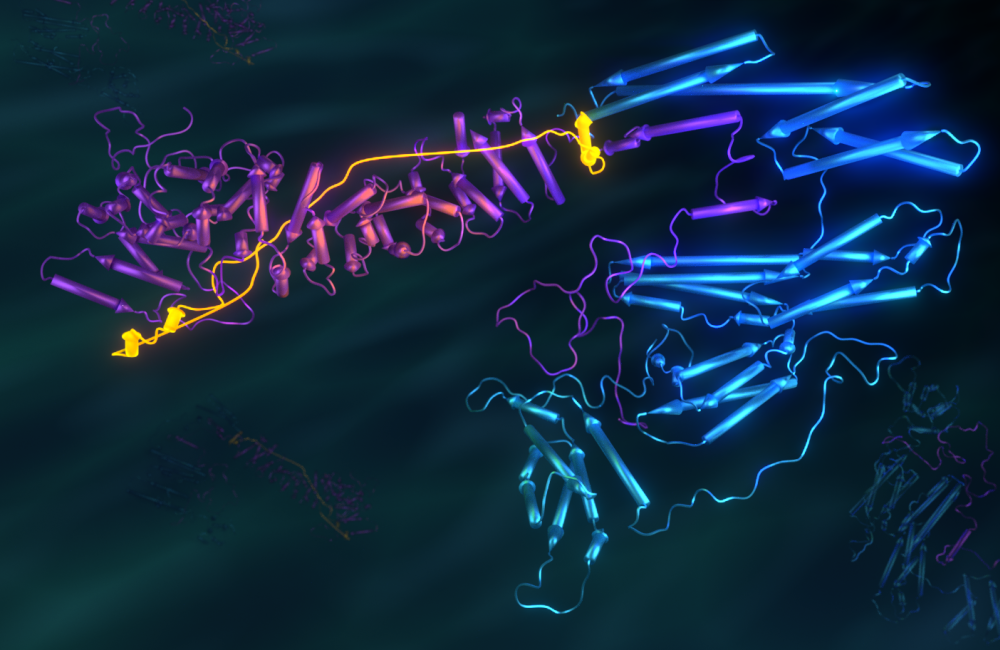 Neutrons—Insight into human tissue