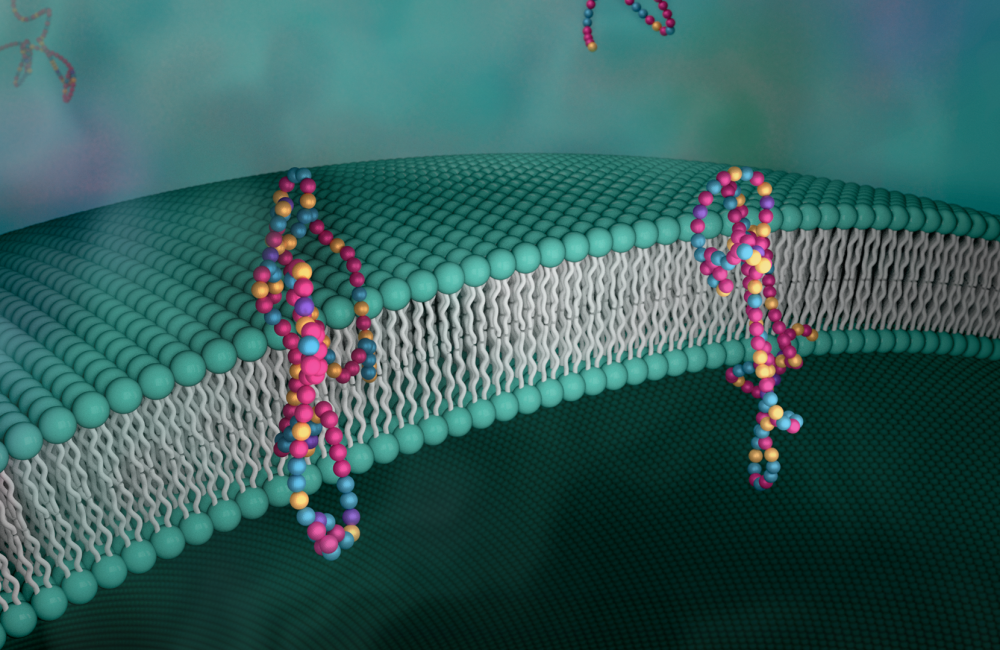 Scientists created a novel polymer that is as effective as natural proteins in transporting protons through a membrane. Credit: ORNL/Jill Hemman